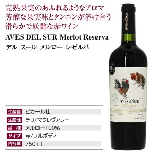 デル スール  メルロー レゼルバ 2021 750ml  赤ワイン チリ | 酒類の総合専門店 フェリシティー お酒の通販サイト