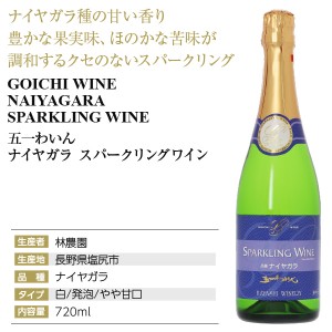 五一わいん  ナイヤガラ スパークリングワイン 720ml  日本ワイン | 酒類の総合専門店 フェリシティー お酒の通販サイト