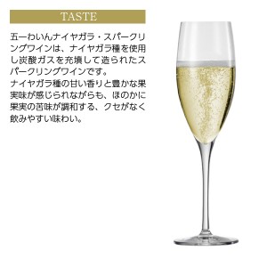 五一わいん  ナイヤガラ スパークリングワイン 720ml  日本ワイン | 酒類の総合専門店 フェリシティー お酒の通販サイト