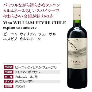 ビーニャ ウィリアム フェーヴル  エスピノ カルムネール 2021 750ml  赤ワイン チリ | 酒類の総合専門店 フェリシティー お酒の通販サイト