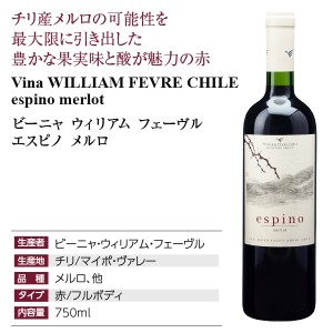 ビーニャ ウィリアム フェーヴル  エスピノ メルロ 2020 750ml  赤ワイン チリ | 酒類の総合専門店 フェリシティー お酒の通販サイト