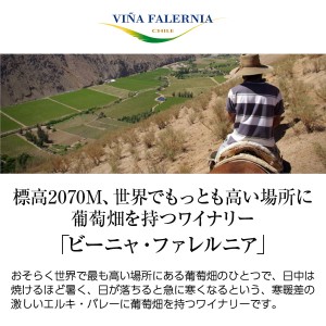 ビーニャ ファレルニア  ヴィオニエ レセルバ 2021 750ml  白ワイン チリ | 酒類の総合専門店 フェリシティー お酒の通販サイト