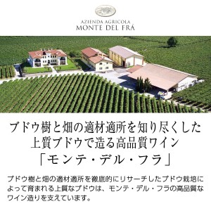モンテ デル フラ  ソアーヴェ クラッシコ 2022 750ml  白ワイン イタリア | 酒類の総合専門店 フェリシティー お酒の通販サイト
