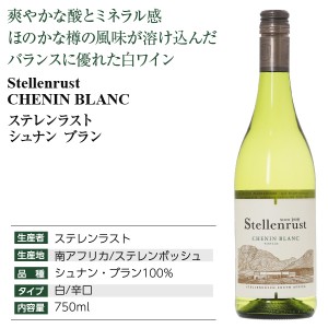 ステレンラスト  シュナン ブラン 2023 750ml  白ワイン 南アフリカ | 酒類の総合専門店 フェリシティー お酒の通販サイト