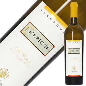 ニーノ ネグリ カ ブリオーネ アルピ レティケ 2021 750ml  白ワイン ソーヴィニヨン イタリア
