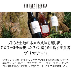 プリマテッラ  プリミティーヴォ 2017 750ml  赤ワイン イタリア | 酒類の総合専門店 フェリシティー お酒の通販サイト