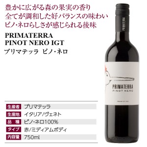 プリマテッラ  ピノ ネロ 2019 750ml  赤ワイン イタリア | 酒類の総合専門店 フェリシティー お酒の通販サイト