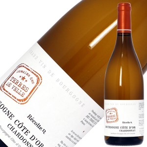 ドメーヌ デ テール ドゥ ヴェル ブルゴーニュ コート ドール シャルドネ 2020 750ml 白ワイン フランス ブルゴーニュ