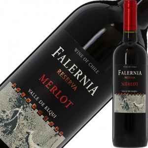 ビーニャ（ヴィーニャ） ファレルニア メルロー レゼルバ 2020 750ml 赤ワイン チリ