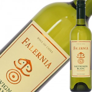 ビーニャ（ヴィーニャ） ファレルニア ソーヴィニヨン ブラン グラン レゼルバ 2019 750ml 白ワイン チリ