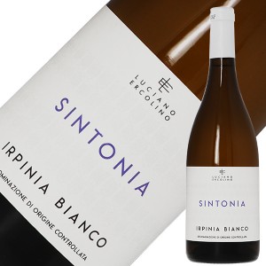 ヴィノジア シントニア 2022 750ml 白ワイン フィアーノ イタリア