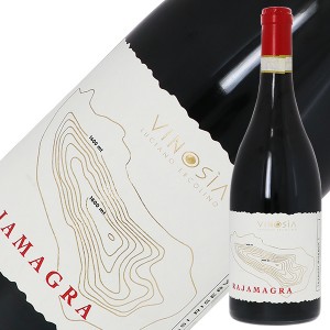 ヴィノジア タウラジ（タウラージ） リゼルヴァ ラヤマグラ 2015 750ml 赤ワイン アリアニコ イタリア
