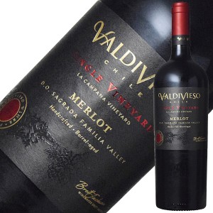 バルディビエソ シングル ヴィンヤード サグラダ ファミリア メルロー レゼルバ 2020 750ml 赤ワイン チリ