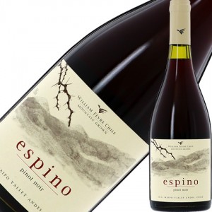 ビーニャ ウィリアム フェーヴル エスピノ ピノ ノワール 2021 750ml 赤ワイン チリ