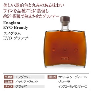 エノグラム  EVO ブランデー 箱付 42度 500ml | 酒類の総合専門店 フェリシティー お酒の通販サイト
