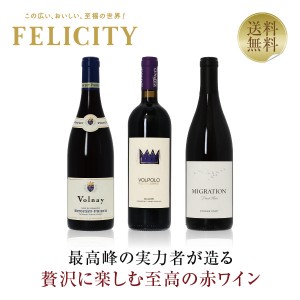【10】贅沢に楽しむ 至高の赤ワイン 3本セット 第13弾 750ml×3 飲み比べ 赤 ワイン セット wine wain