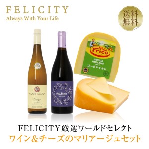 FELICITY厳選ワールドセレクト ワイン＆チーズセット 750ml×2 飲み比べ チーズ ワイン セット