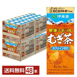 伊藤園 健康ミネラルむぎ茶 250ml 紙パック 24本×2ケース（48本）