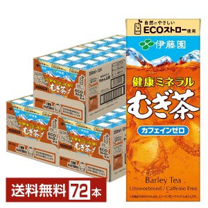 伊藤園 健康ミネラルむぎ茶 250ml 紙パック 24本×3ケース（72本）