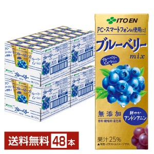 伊藤園 ブルーベリーmix ミックス 200ml 紙パック 24本×2ケース（48本）