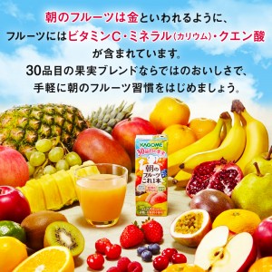 果汁入り飲料｜カゴメ 朝のフルーツこれ1本 200ml 紙パック 24本×3ケース（72本）