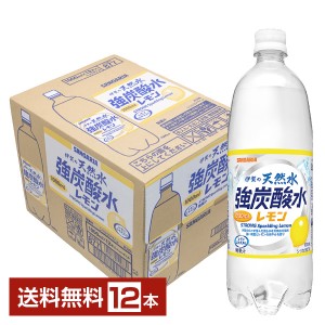 サンガリア 伊賀の天然水 強炭酸水レモン 1000ml ペットボトル 12本 1ケース
