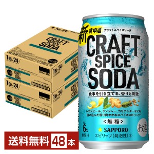 サッポロ クラフトスパイスソーダ 350ml 缶 24本×2ケース（48本） チューハイ サッポロビール 無糖