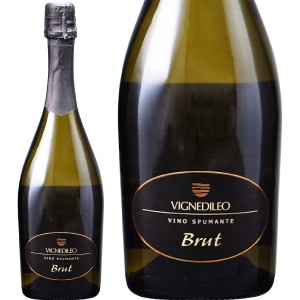 ヴィニェディレオ ヴィーノ スプマンテ ブリュット ヴェルディッキオ 750ml スパークリングワイン イタリア