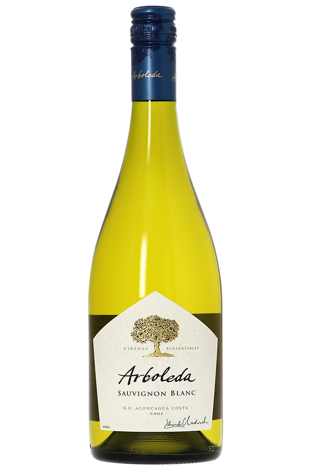 アルボレダ ソーヴィニヨン ブラン 2021 750ml 白ワイン チリ