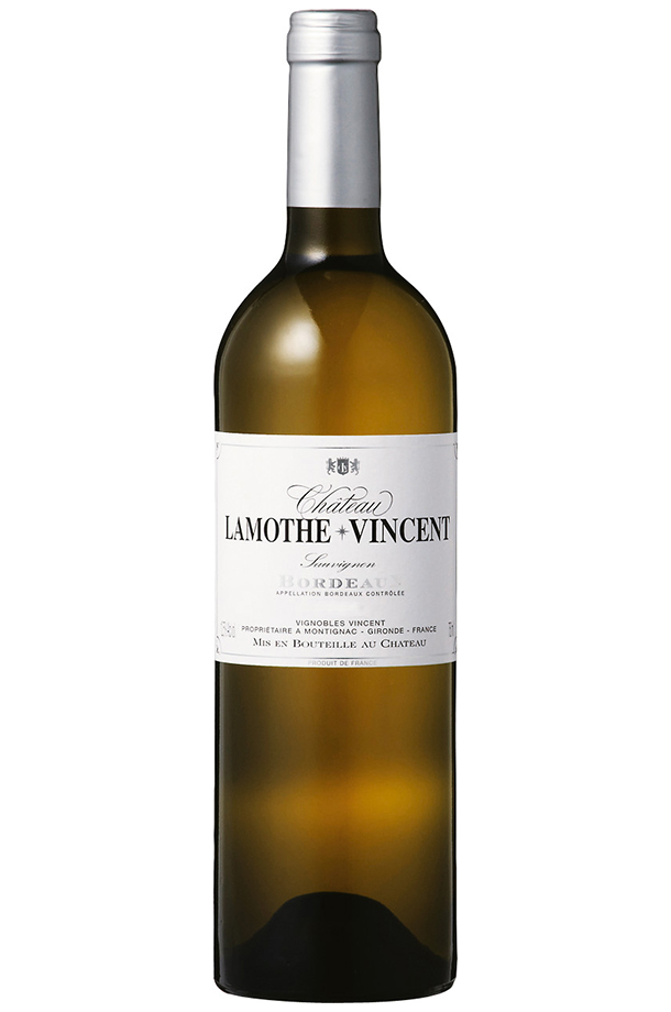 シャトー ラモット ヴァンサン ブラン（白） 2022 750ml 白ワイン ソーヴィニヨン ブラン フランス ボルドー