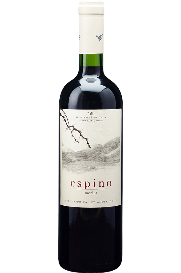 ビーニャ ウィリアム フェーヴル エスピノ メルロ 2020 750ml 赤ワイン チリ