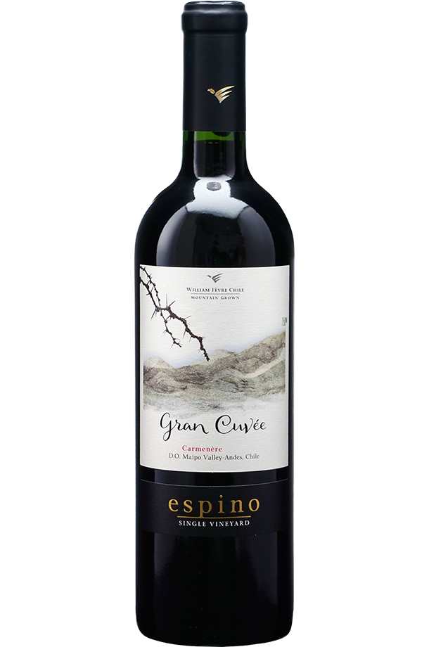 ビーニャ ウィリアム フェーヴル エスピノ グラン キュヴェ カルムネール 2015 750ml 赤ワイン チリ