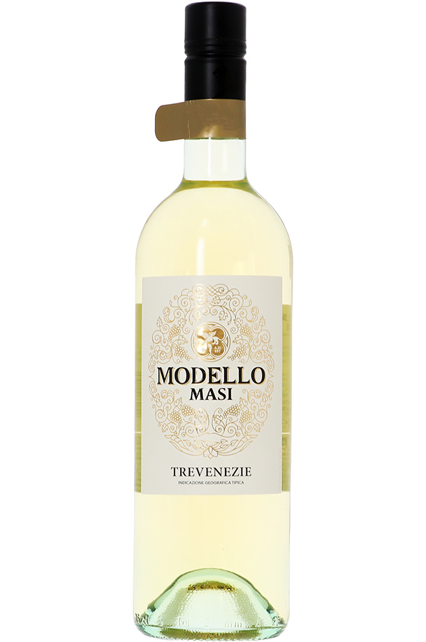 マァジ モデッロ ビアンコ デッレ ヴェネツィエ 2020 750ml 白ワイン イタリア