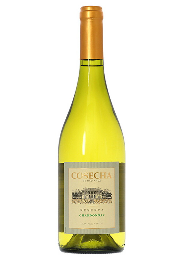 コセチャ レゼルバ シャルドネ （旧タラパカ グラン シャルドネ） 2023 750ml 白ワイン チリ