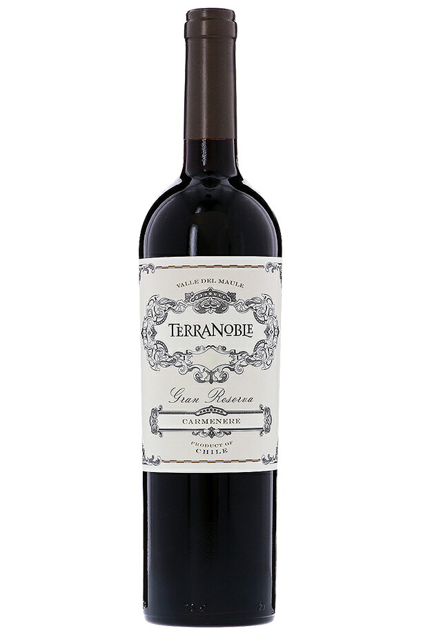 テラノブレ グランレゼルバ カルメネール 2020 750ml 赤ワイン チリ