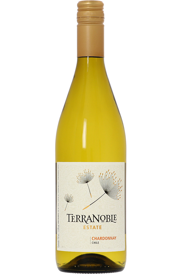 テラノブレ ヴァラエタル シャルドネ 2023 750ml 白ワイン チリ