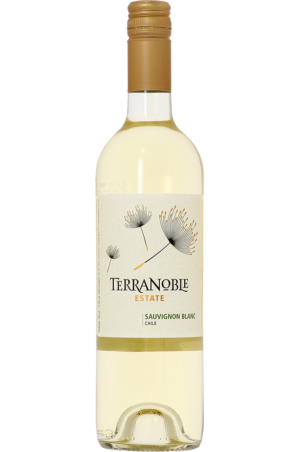 テラノブレ ヴァラエタル ソーヴィニヨンブラン 2022 750ml 白ワイン チリ