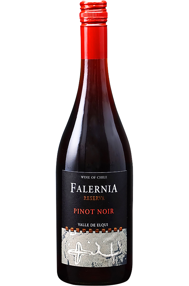 ビーニャ（ヴィーニャ） ファレルニア ピノノワール レゼルバ 2019 750ml 赤ワイン チリ
