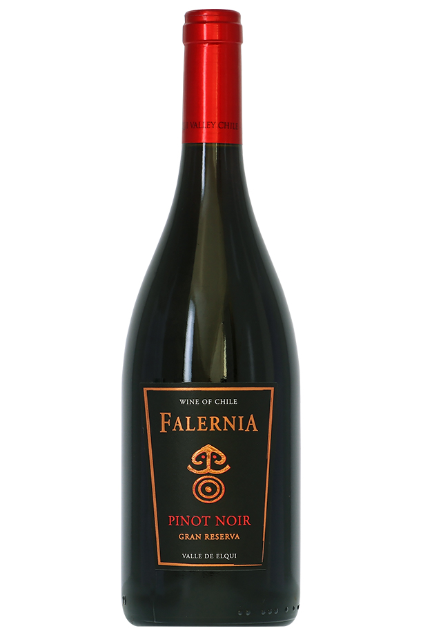 ビーニャ（ヴィーニャ） ファレルニア ピノ ノワール グラン レゼルバ 2019 750ml 赤ワイン チリ