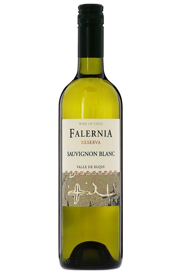 ビーニャ（ヴィーニャ） ファレルニア ソーヴィニヨン ブラン レゼルバ  2022 750ml 白ワイン チリ