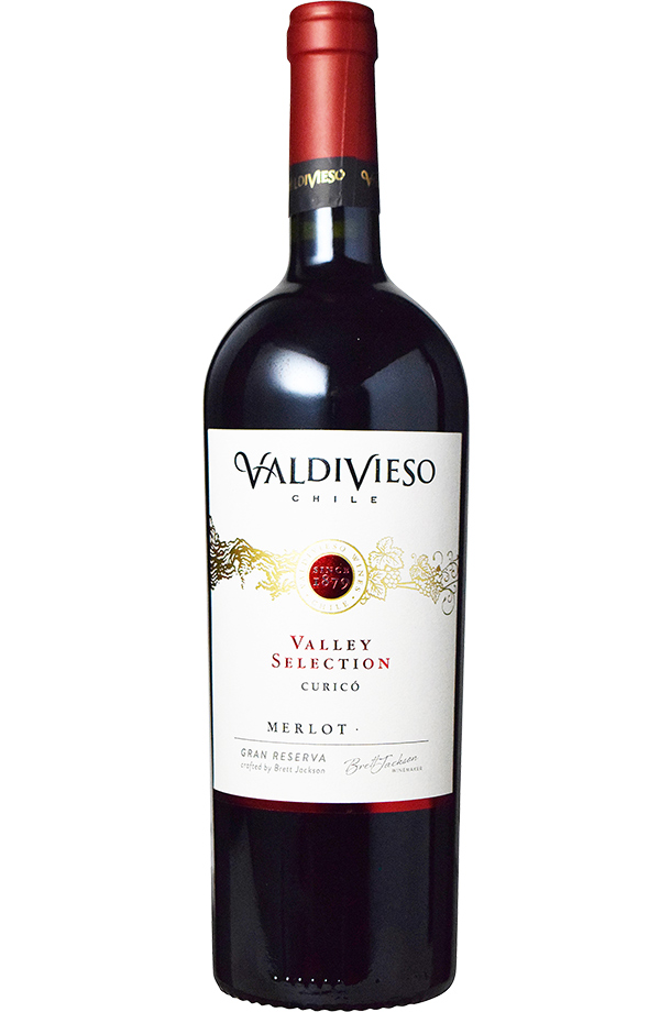 バルディビエソ ヴァレー セレクション メルロー 2021 750ml 赤ワイン チリ