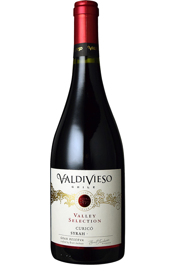 2022 新作 6本まとめ買い バルディビエソ メルロー 2021年 ビーニャ チリ 赤ワイン フルボディ チリワイン セントラル ヴァレー  チリ赤ワイン 750ml