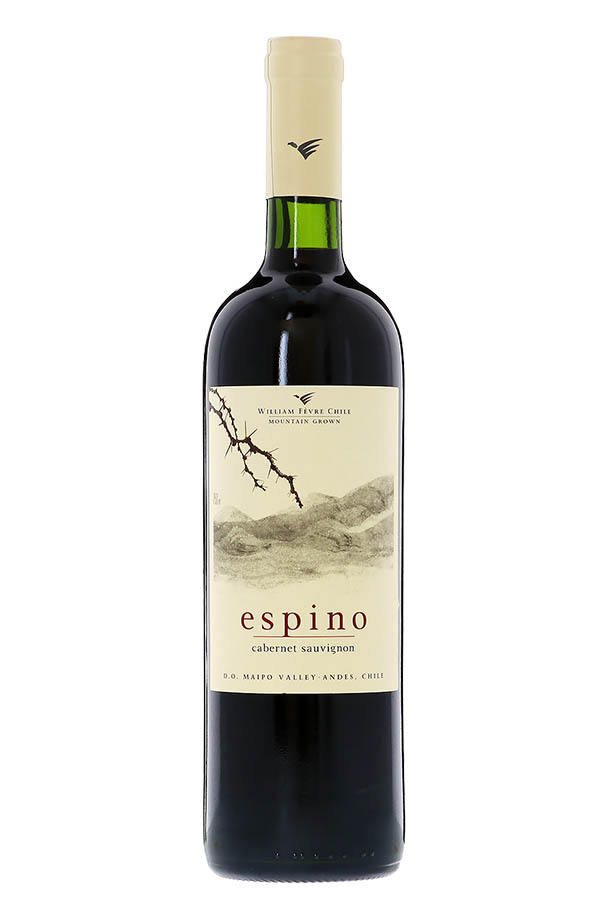 ビーニャ ウィリアム フェーヴル エスピノ カベルネ ソーヴィニヨン 2019 750ml 赤ワイン チリ